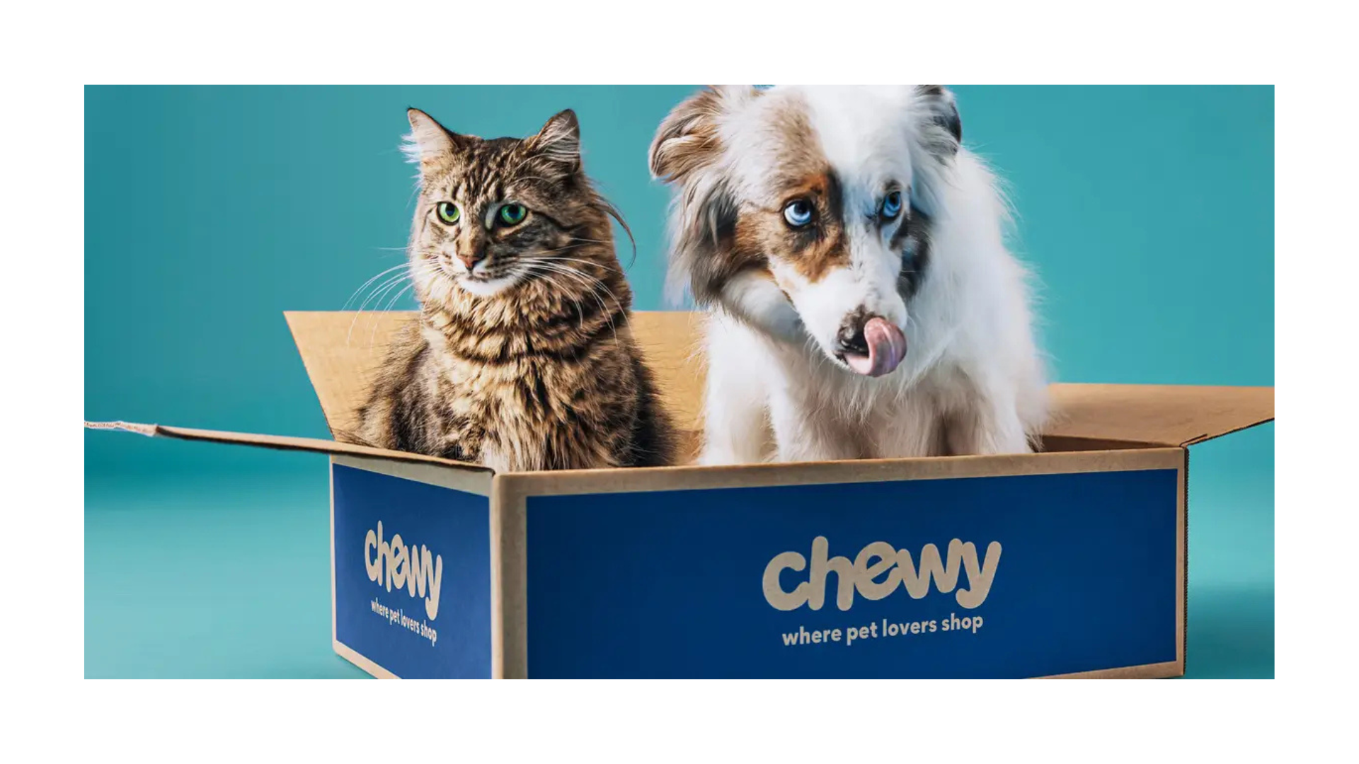 Why Pet Owners Are Obsessed with Chewy